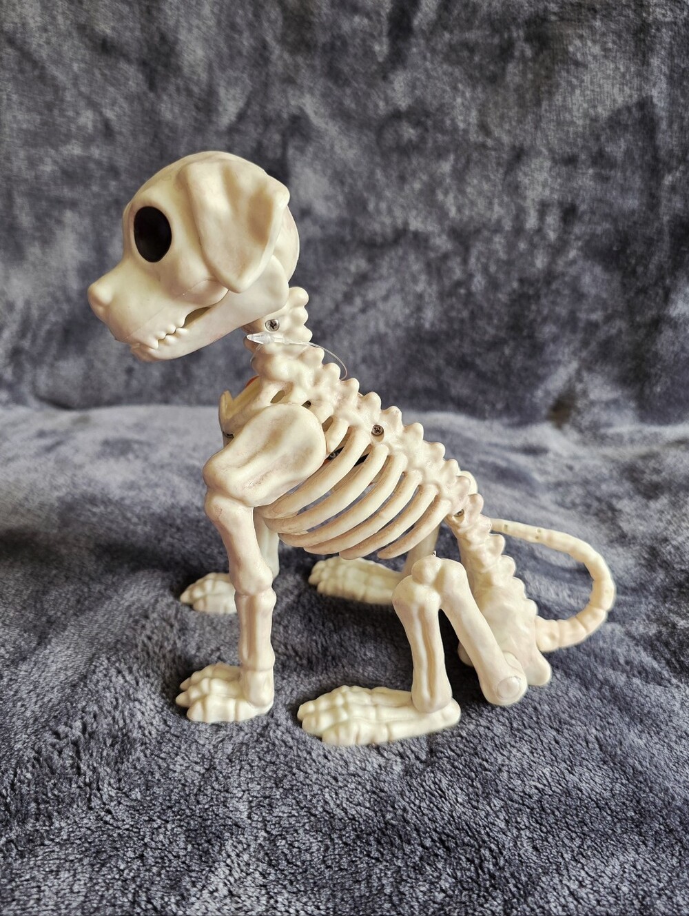 Crazy Bonez Skeleton Posable mini Dog Skeleton Halloween 7" Creepy Puppy NWT